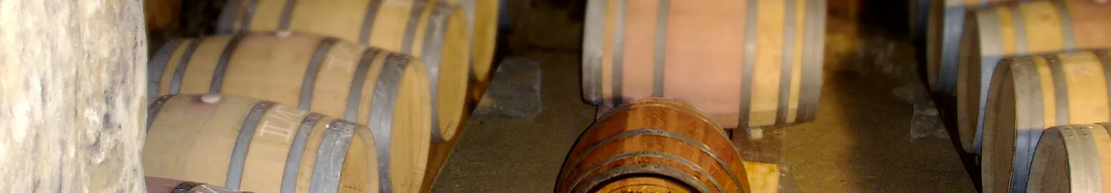 Barricas de roble en la bodega subterránea